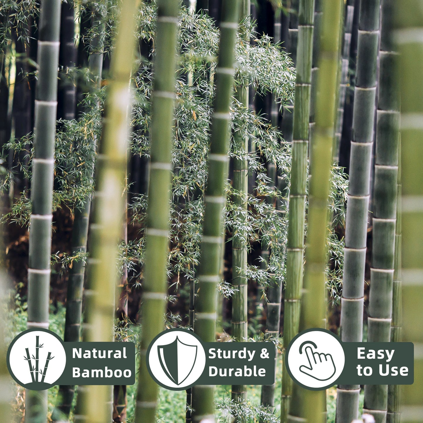 50pcs 4FT Bamboo Plant Stake Tomato Vegetables Beans Trees Potted Climbing Plants