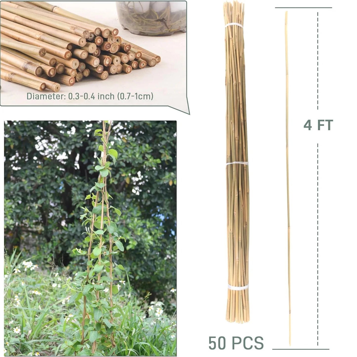 50pcs 4FT Bamboo Plant Stake Tomato Vegetables Beans Trees Potted Climbing Plants