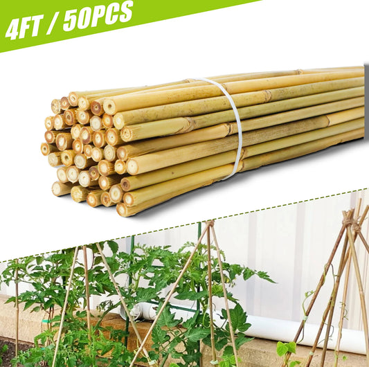 50pcs 4FT Bamboo Plant Stake Tomato Vegetables Beans Trees Potted Climbing Plants